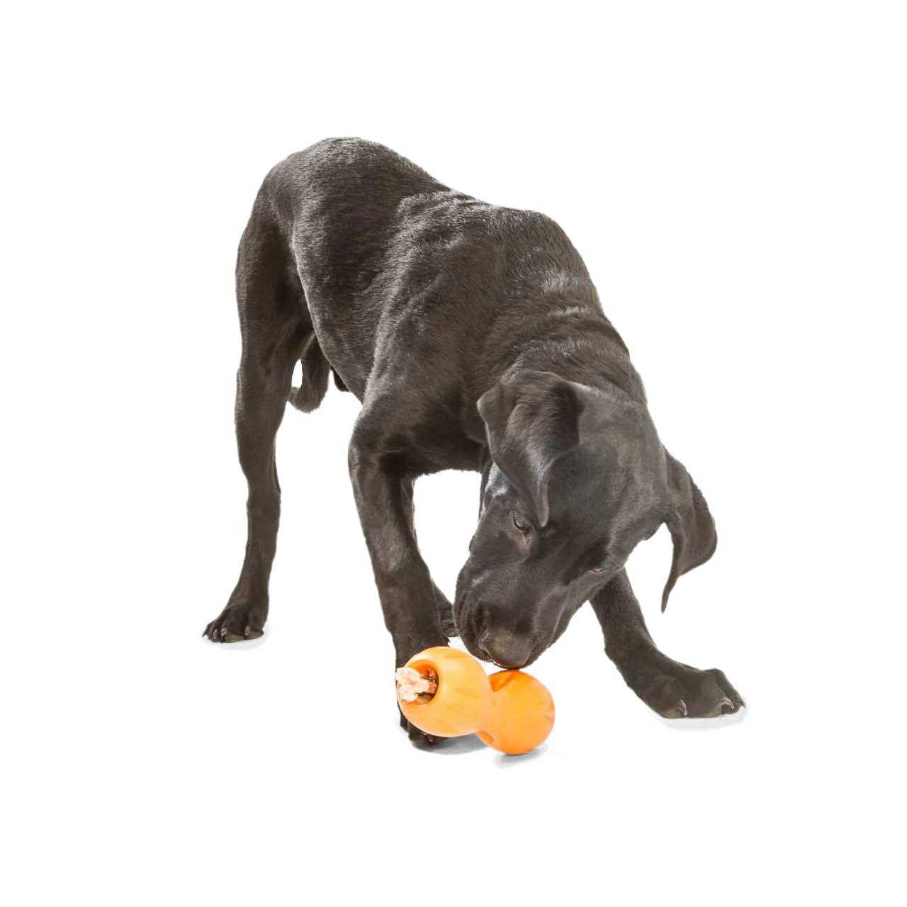 West Paw Qwizl Dog Toy - Healthber