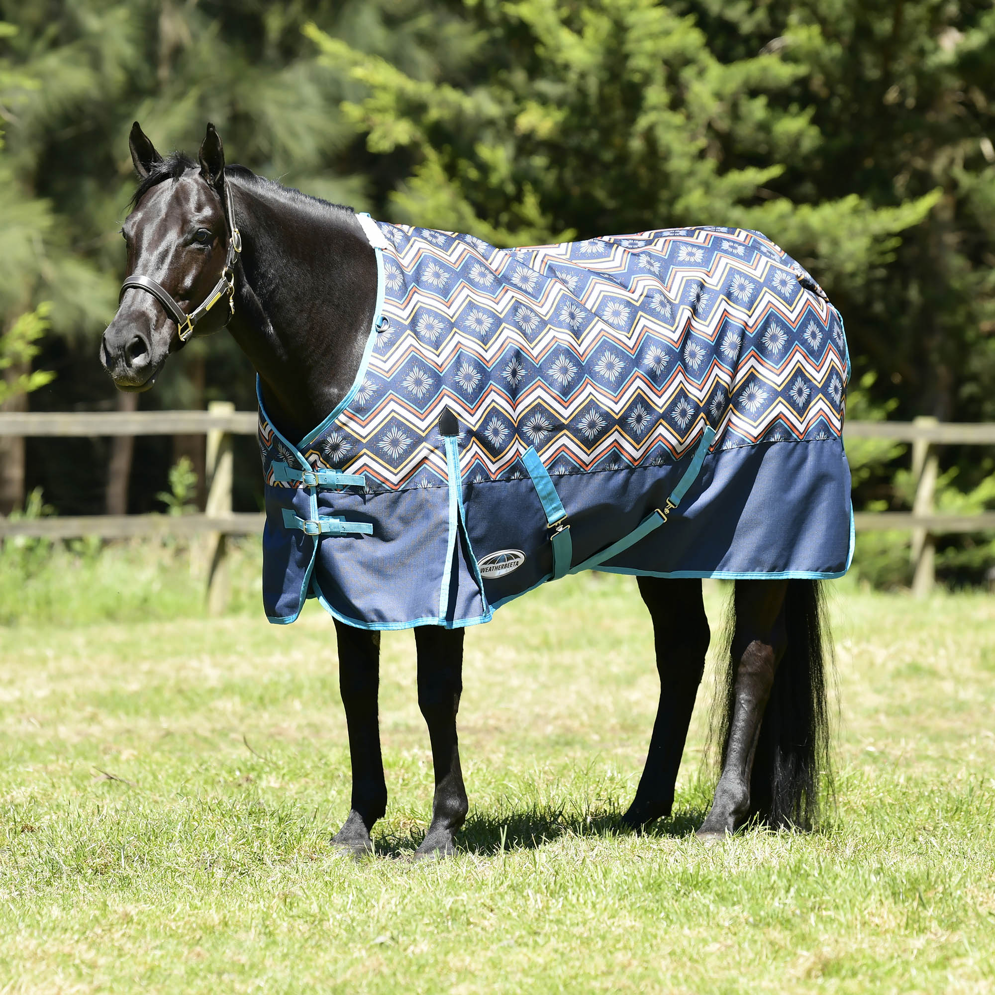 WeatherBeeta ComFITec Essential Standard Neck Turnout Blanket, Medium, Sedona Star Print - Healthber