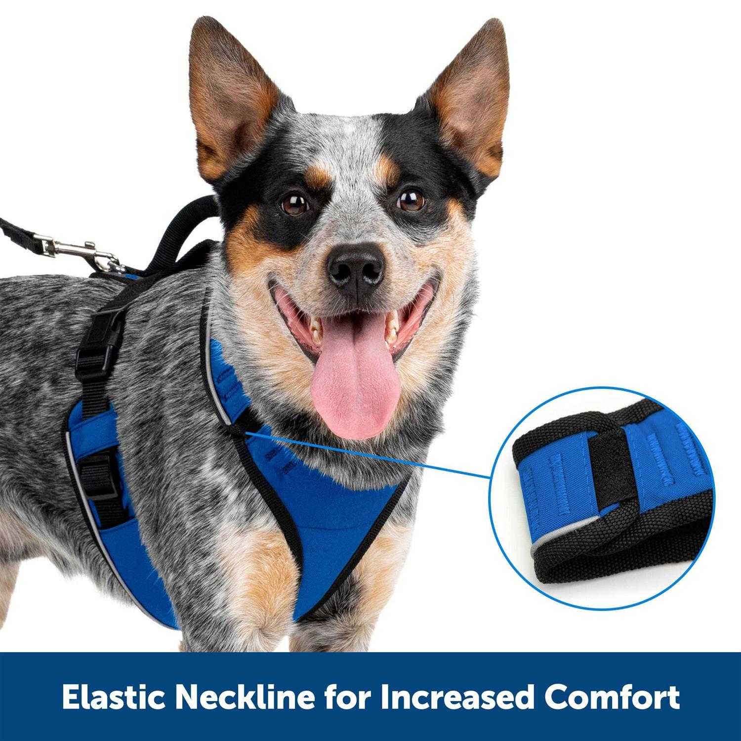 PetSafe EasySport Dog Harness - Healthber