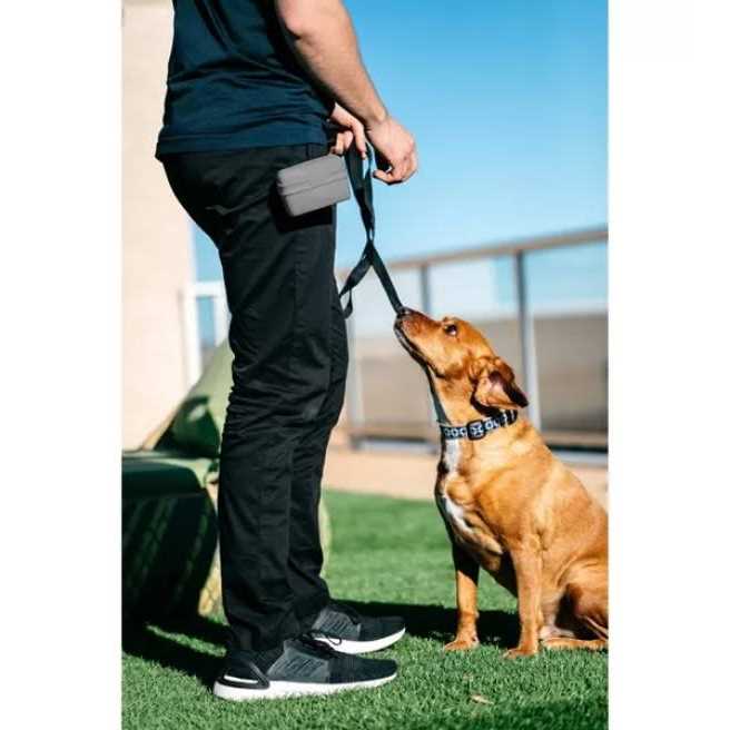 Dexas Pooch Pouch - Healthber