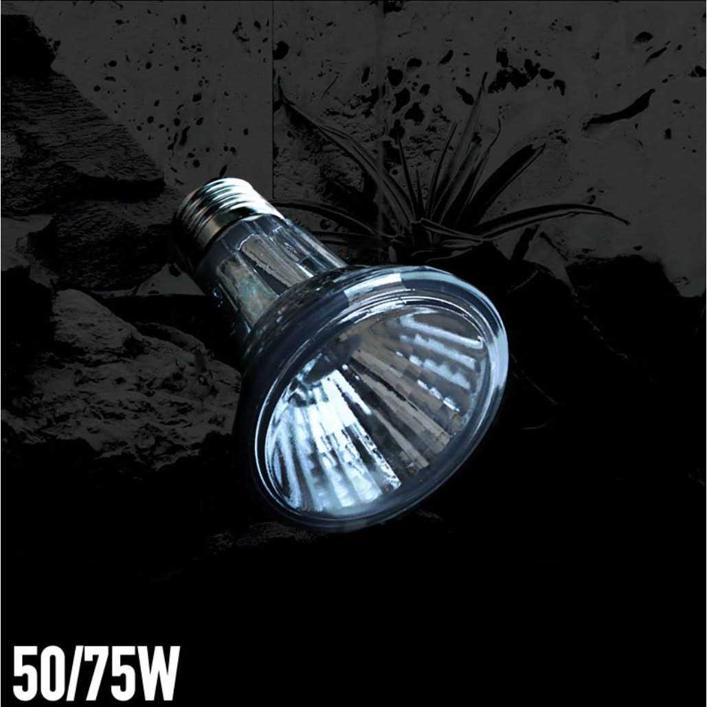 Arcadia Halogen Heat Lamp - Healthber