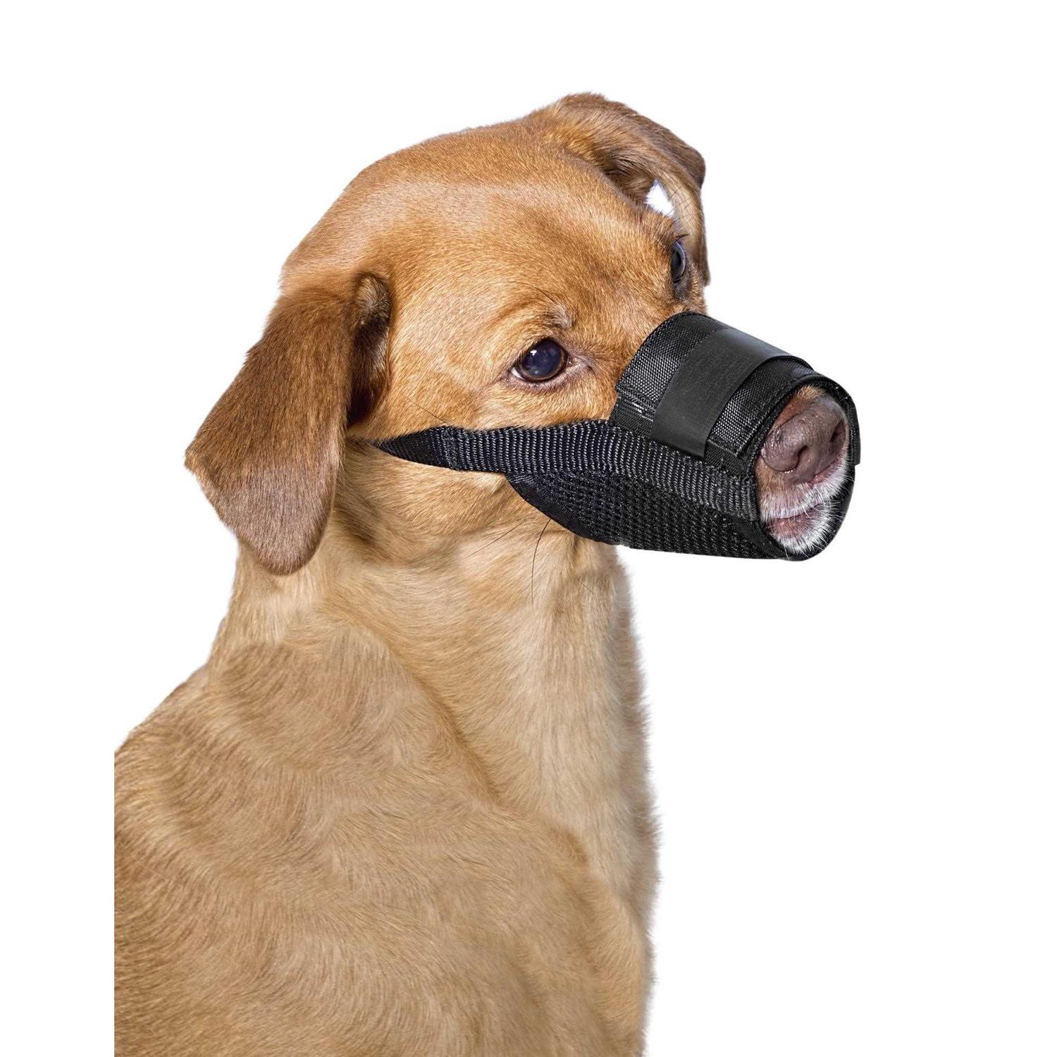 PetSafe Dog Muzzle - Healthber