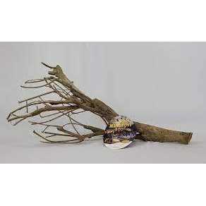 Zoo Med Talawa Mangrove Root - Healthber