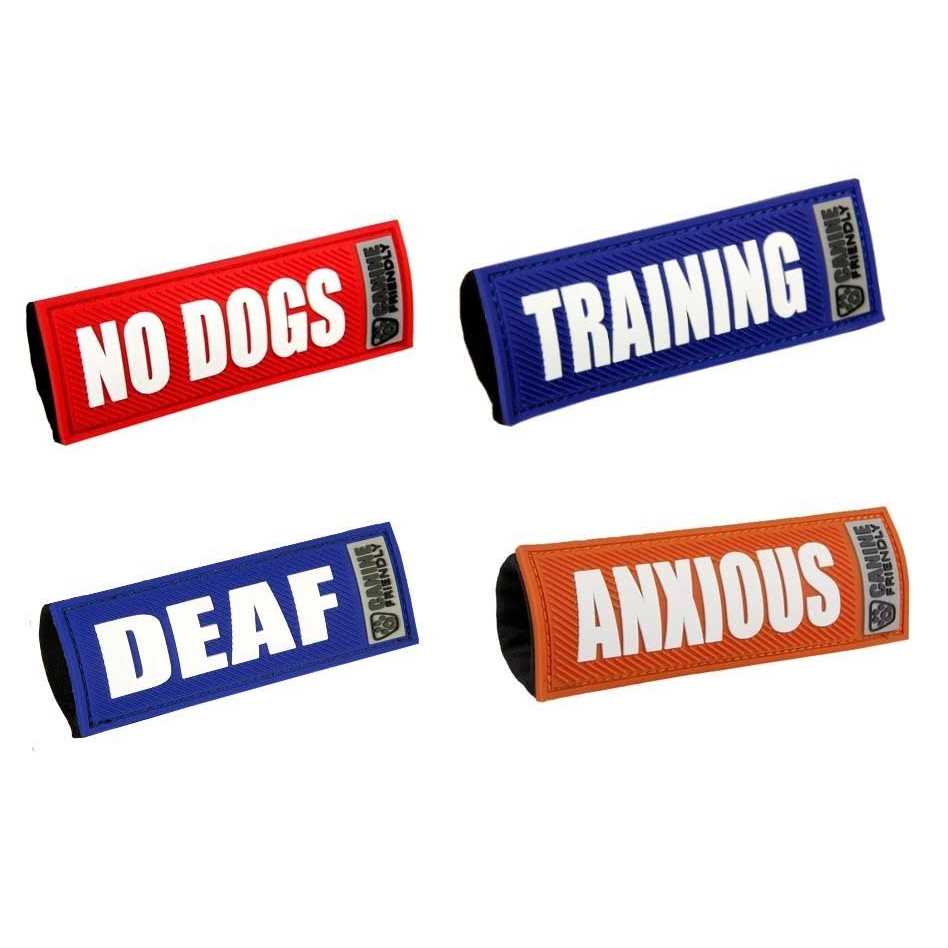 Bark Notes Dog Collar and Leash - Healthber