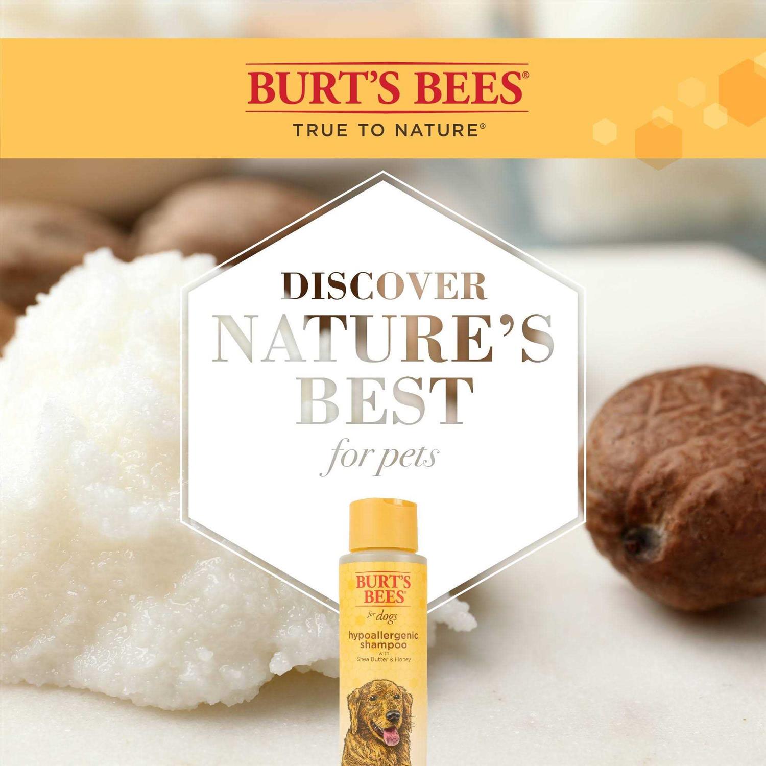 Burt’s Bees Shampoo - Healthber