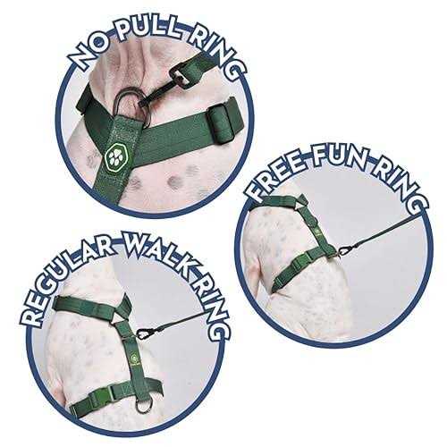 Spark Paws No-Pull Dog Harness Designed for Safety and Control - Healthber