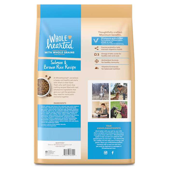 WholeHearted Whole Grains Salmon Recipe Dry Dog Food - Healthber