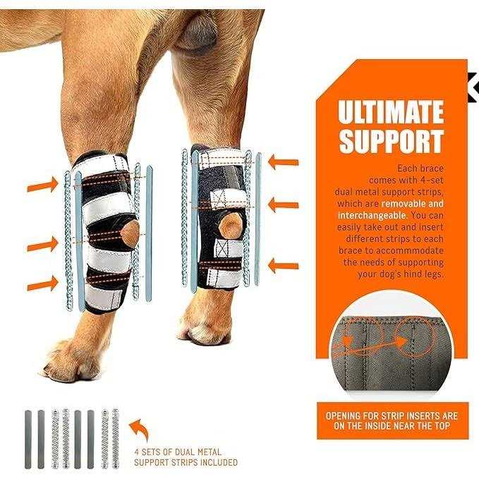 NeoAlly 3-in-1 Long Rear Leg Support Dog Splint Braces - Healthber