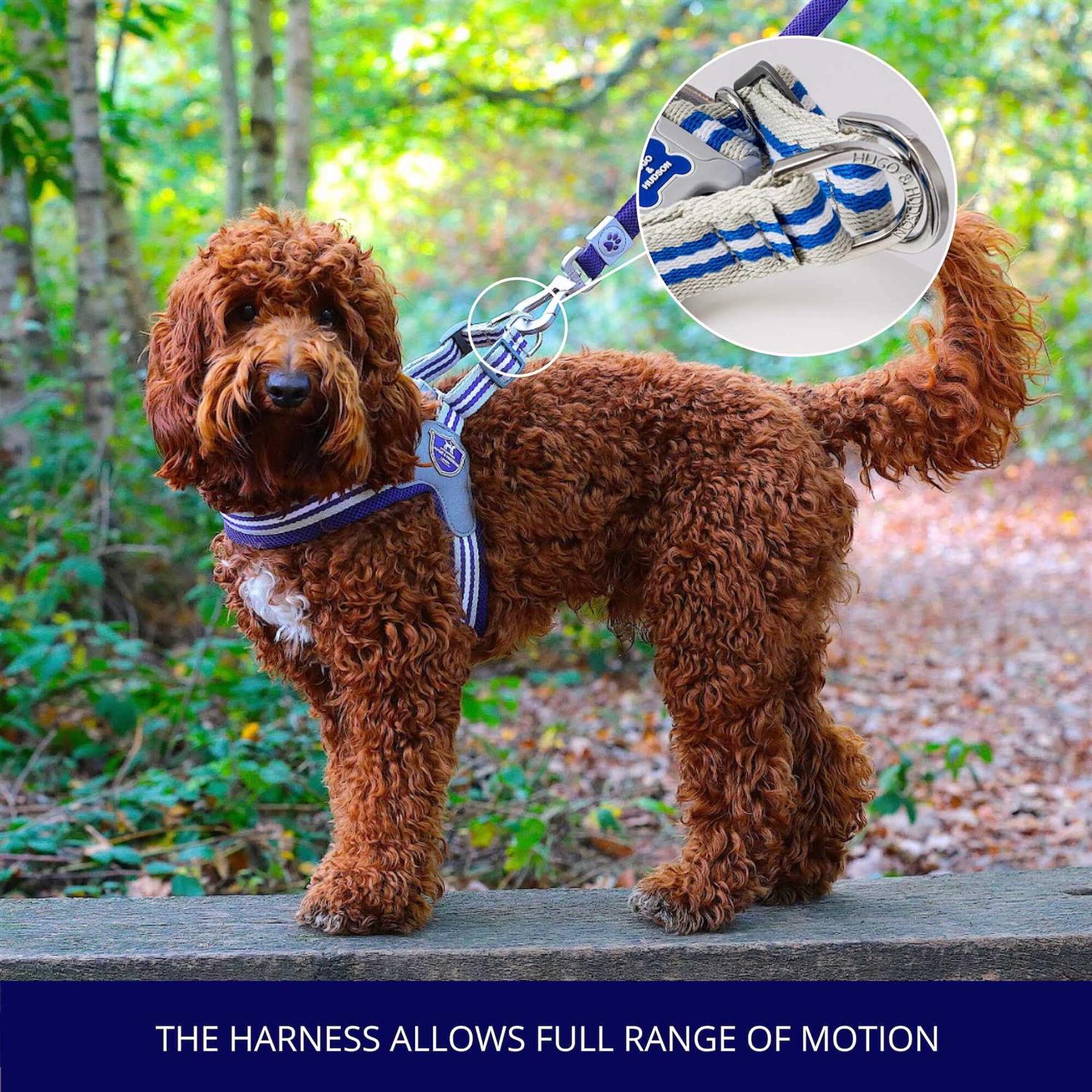 HUGO & HUDSON Easy Walk V Dog Harness - Healthber