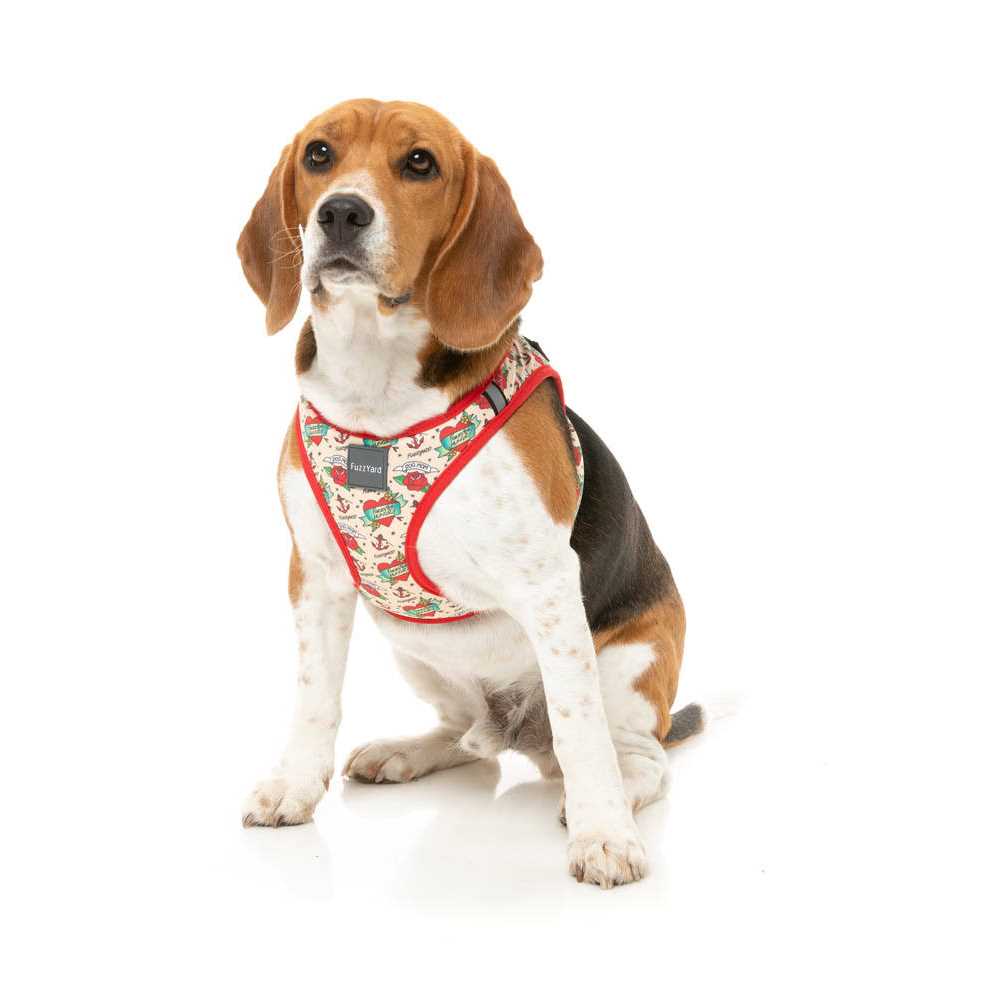 FuzzYard Step Harness - Healthber