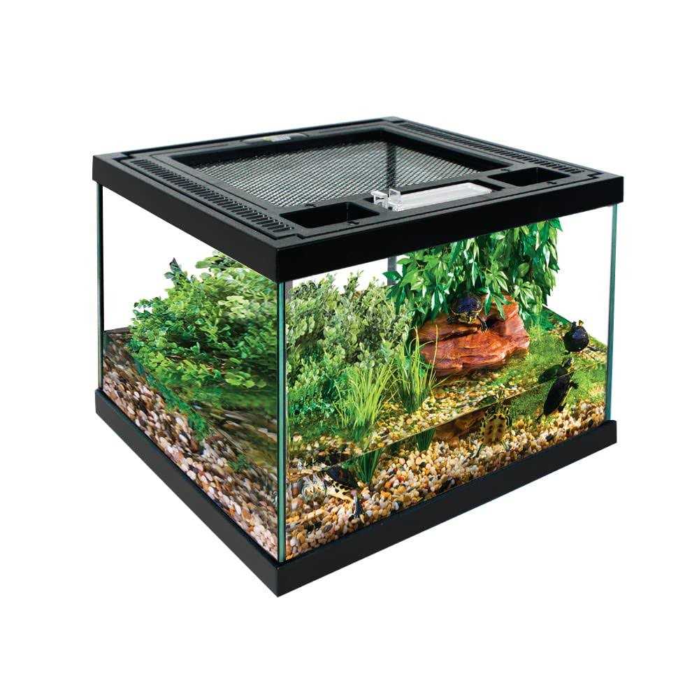 REP BUDDY Glass Terrarium with Ventilation Opening and Feeding Hole for Live Reptiles & Amphibians Bearded Dragon - Healthber