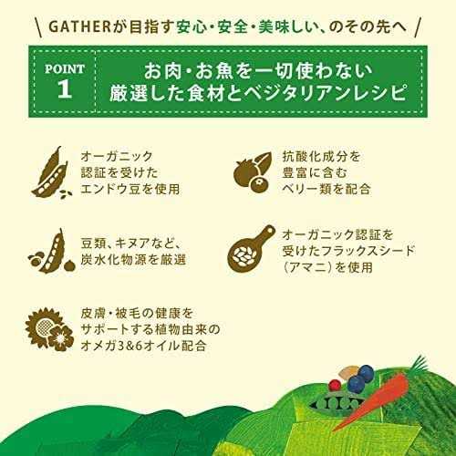 Gather Endless Valley Vegan Recipe with Organic Peas Adult Dry Dog Food - Healthber