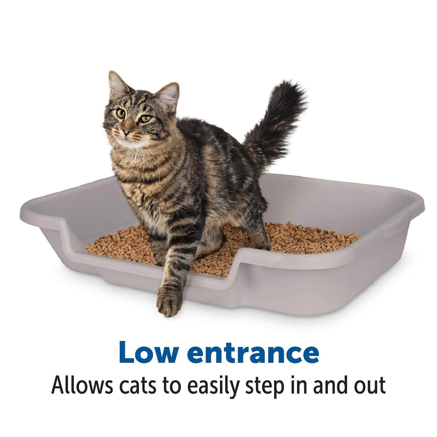 NE14pets KittyGoHere Litter Box for Senior cats That cant cope with a Traditional Litter Box Large Box Misty gray - Healthber