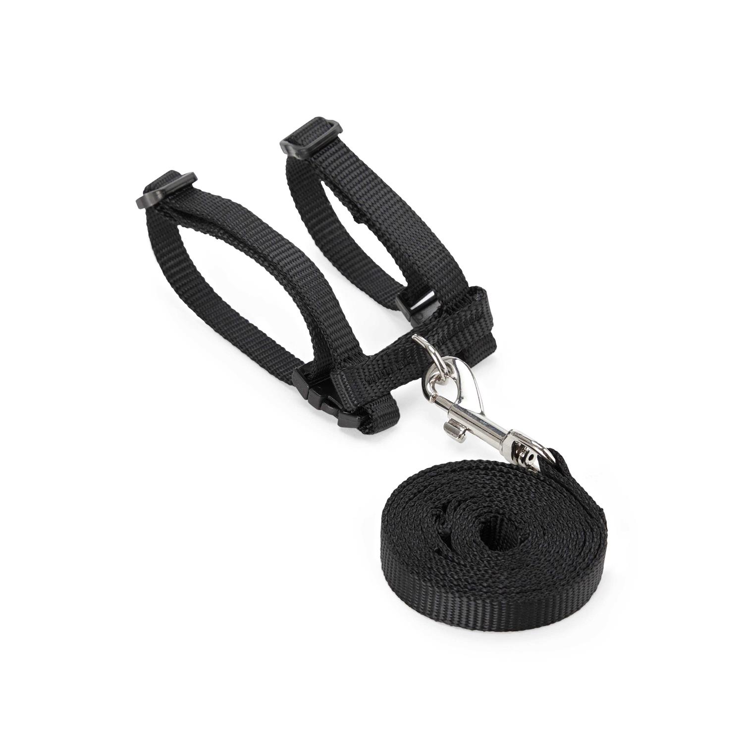 EveryYay Assorted Ferret Harness & Lead - Healthber