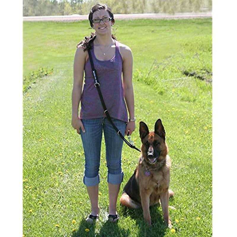 ActiveDogs.com ActiveDogs Hands-Free Adjustable Service Dog Leash 7.5′ x.75 Premium Quality Crossbody K9 Training Lead - Healthber