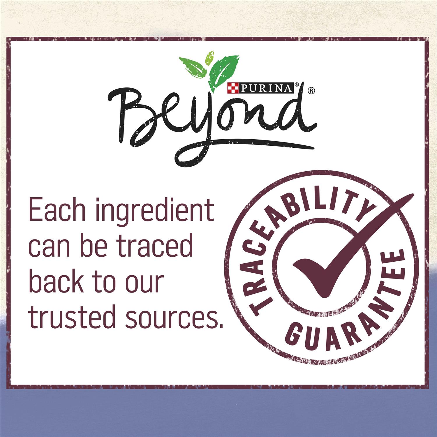 Purina Beyond Grain Free Ground Entrée Turkey & Sweet Potato Recipe Wet Dog Food - Healthber