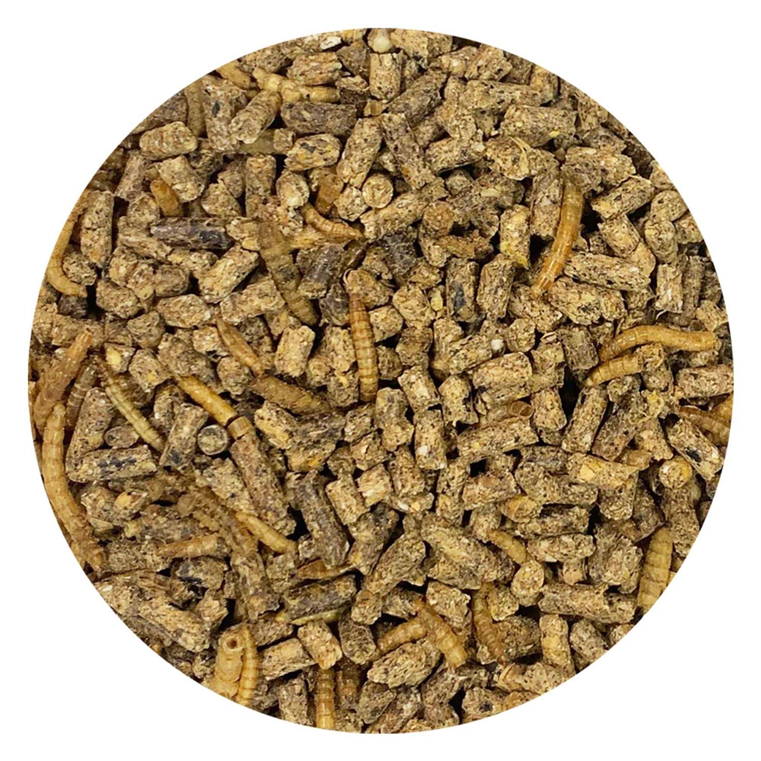 Exotic Nutrition Complete Hedgehog Food - Healthber