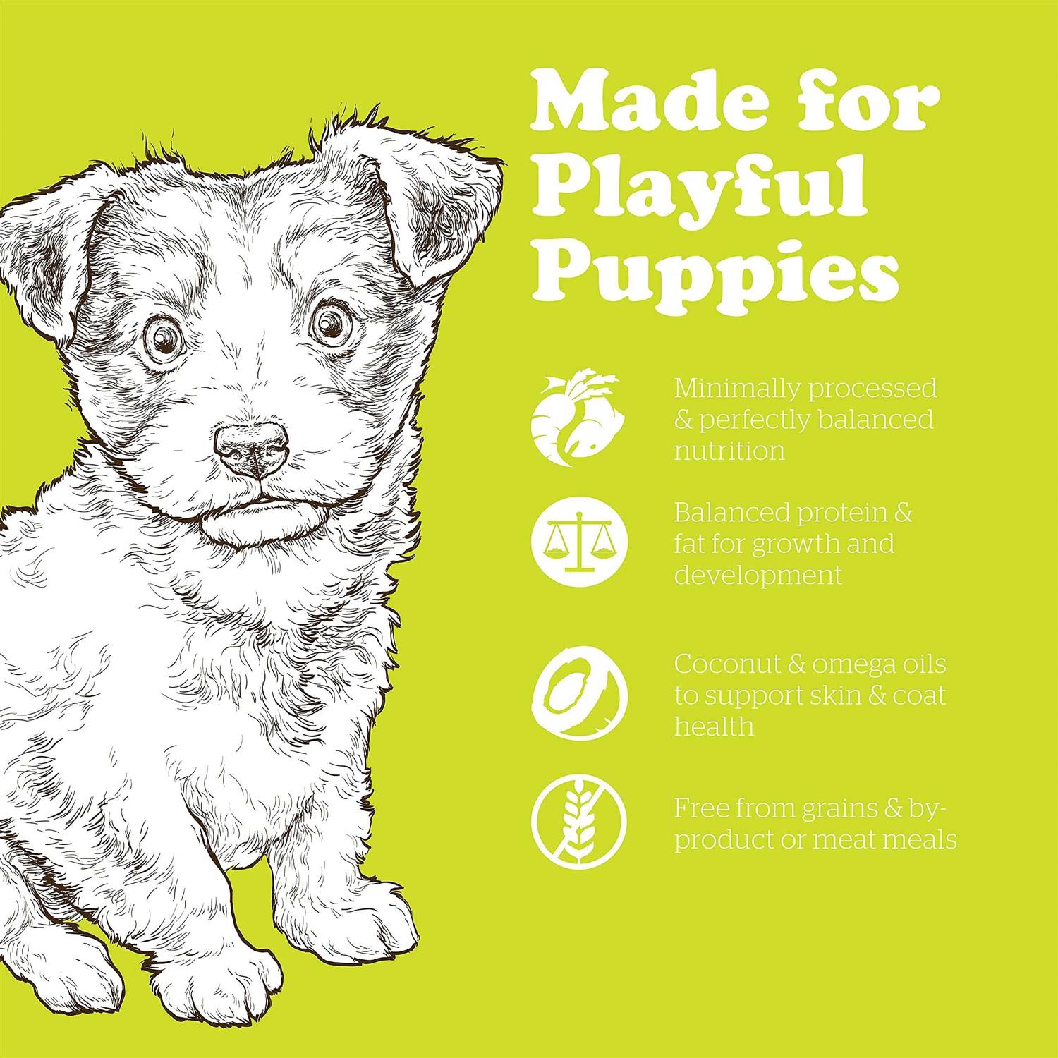 Petcurean Now Fresh Grain-Free Small Breed Puppy Recipe Dry Dog Food - Healthber