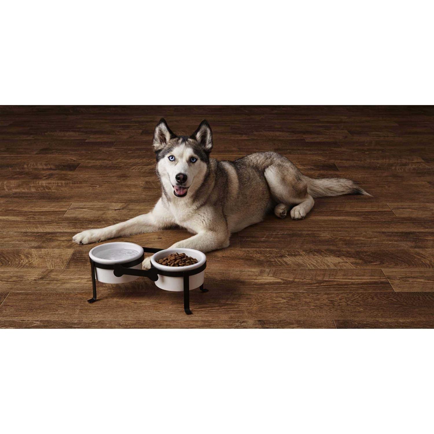EveryYay Dining in Iron Double Diner with Ceramic Dog Bowls - Healthber