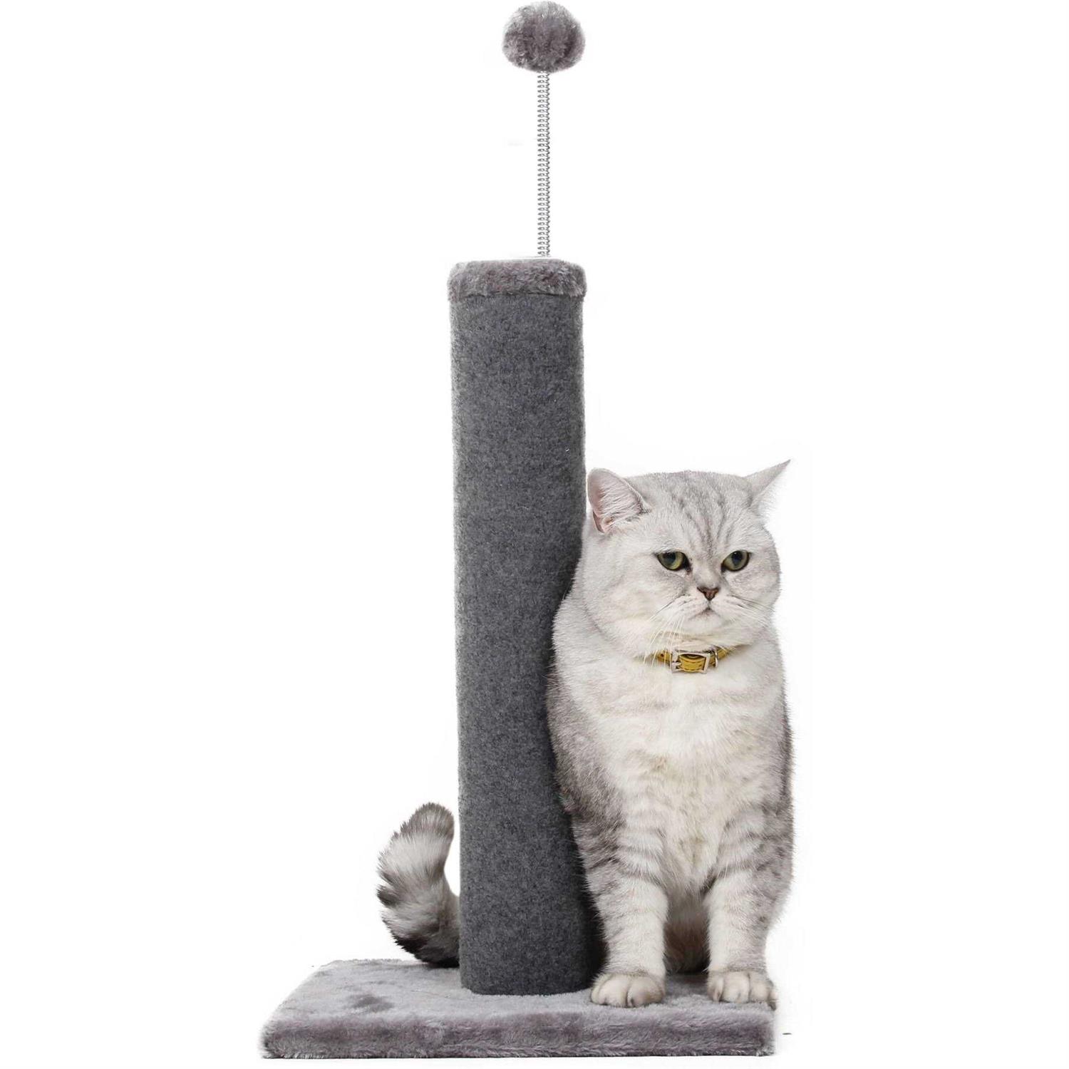 Hill’s Science Diet Adult Small Bites No Corn, Wheat or Soy Dry Dog Food - Healthber