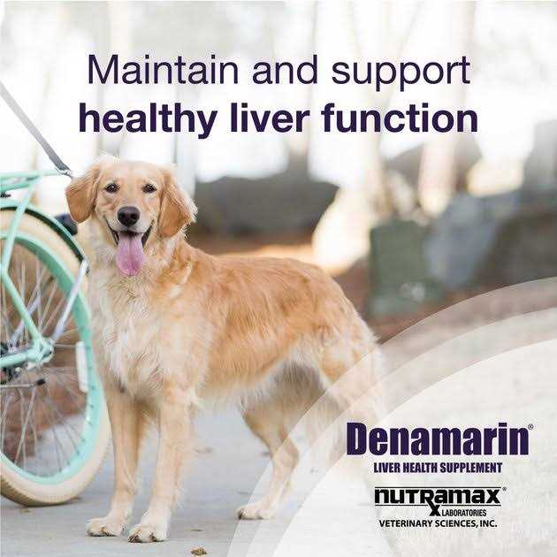 Nutramax Denamarin for Liver Health Tablets for Large Dogs - Healthber