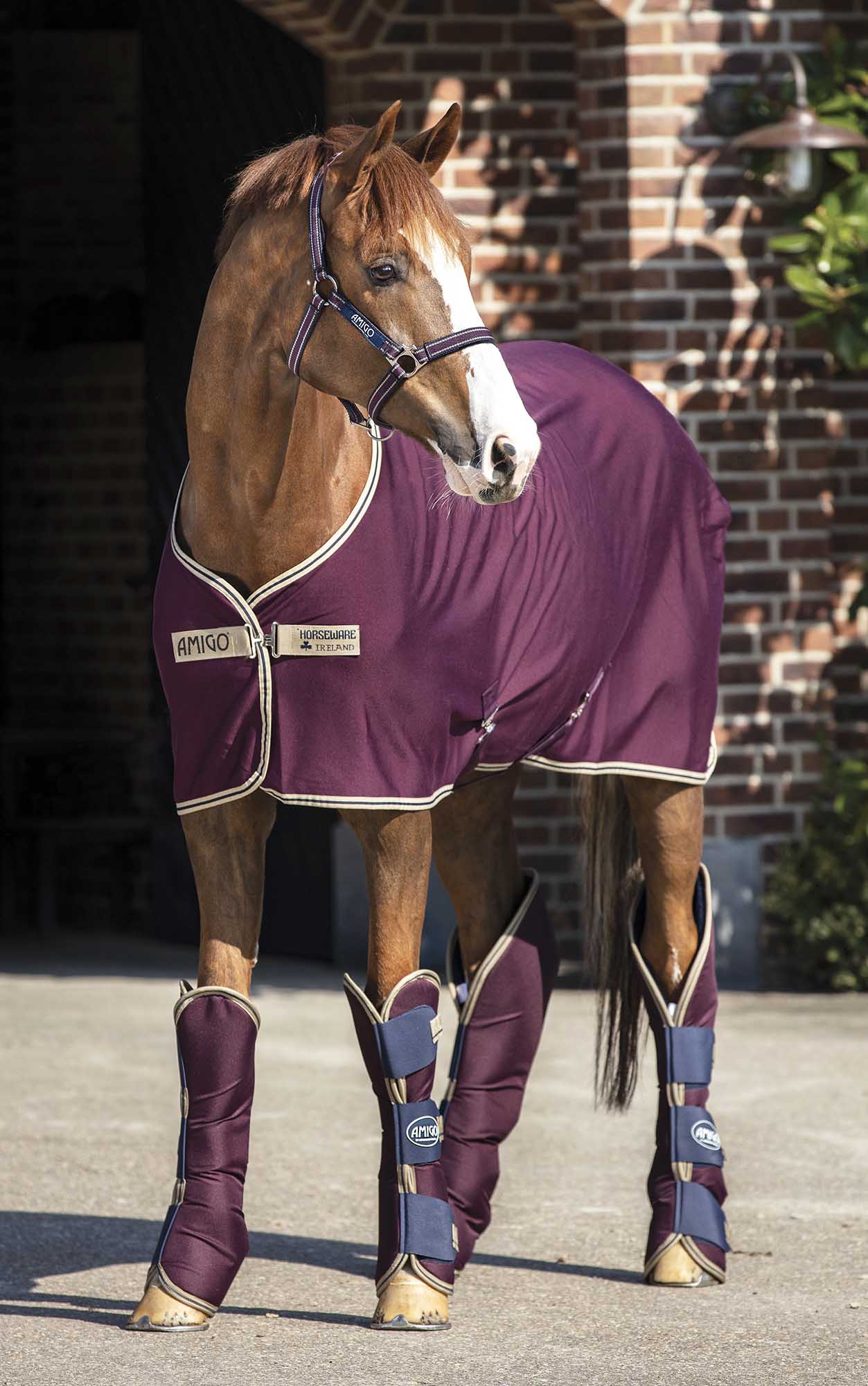 Amigo Jersey Horse Cooler, Fig with Navy & Tan Trim - Healthber