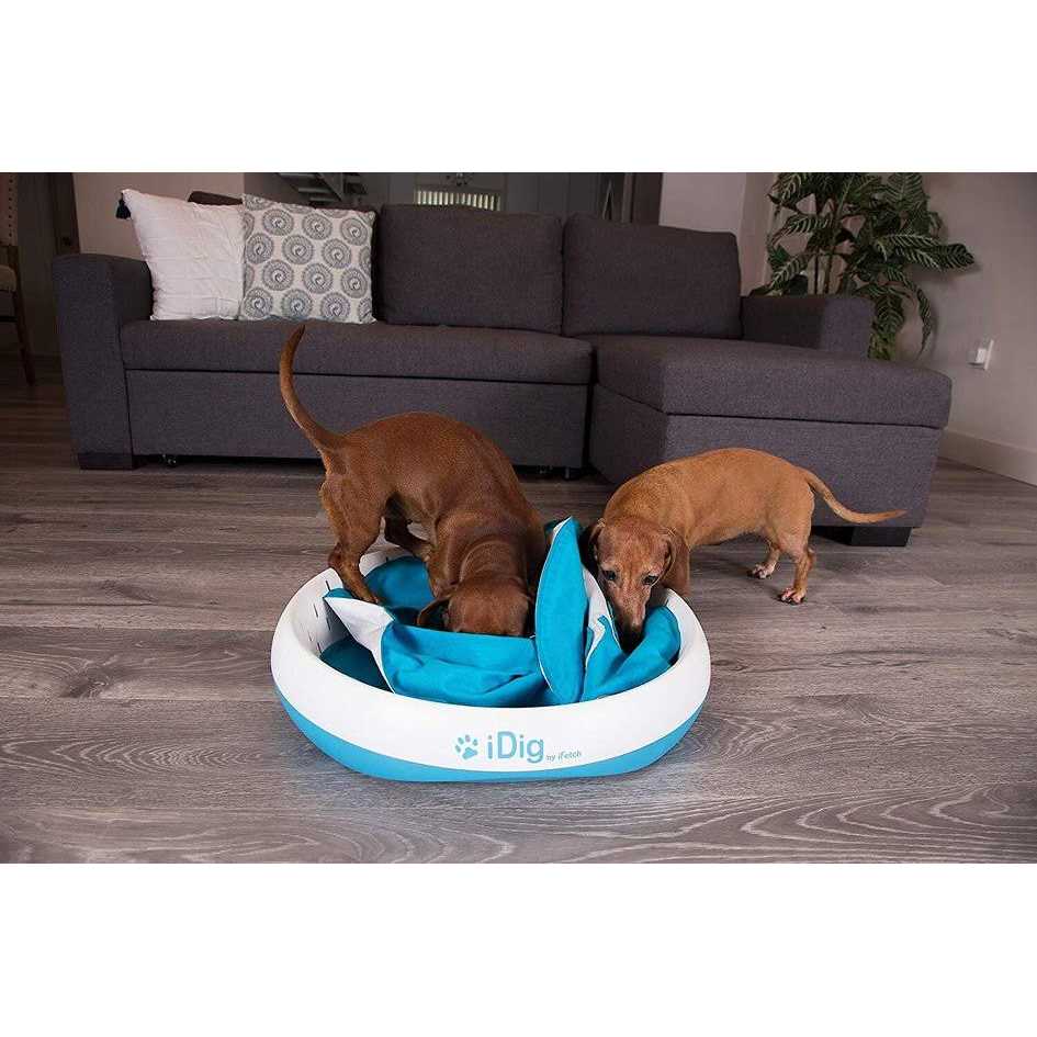 iFetch iDig Stay Dog Toy - Healthber