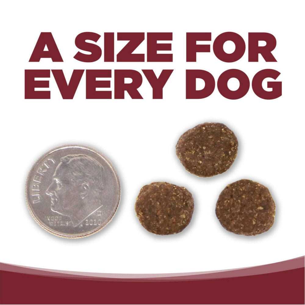 NutriSource Beef Rice Dry Dog Food - Healthber