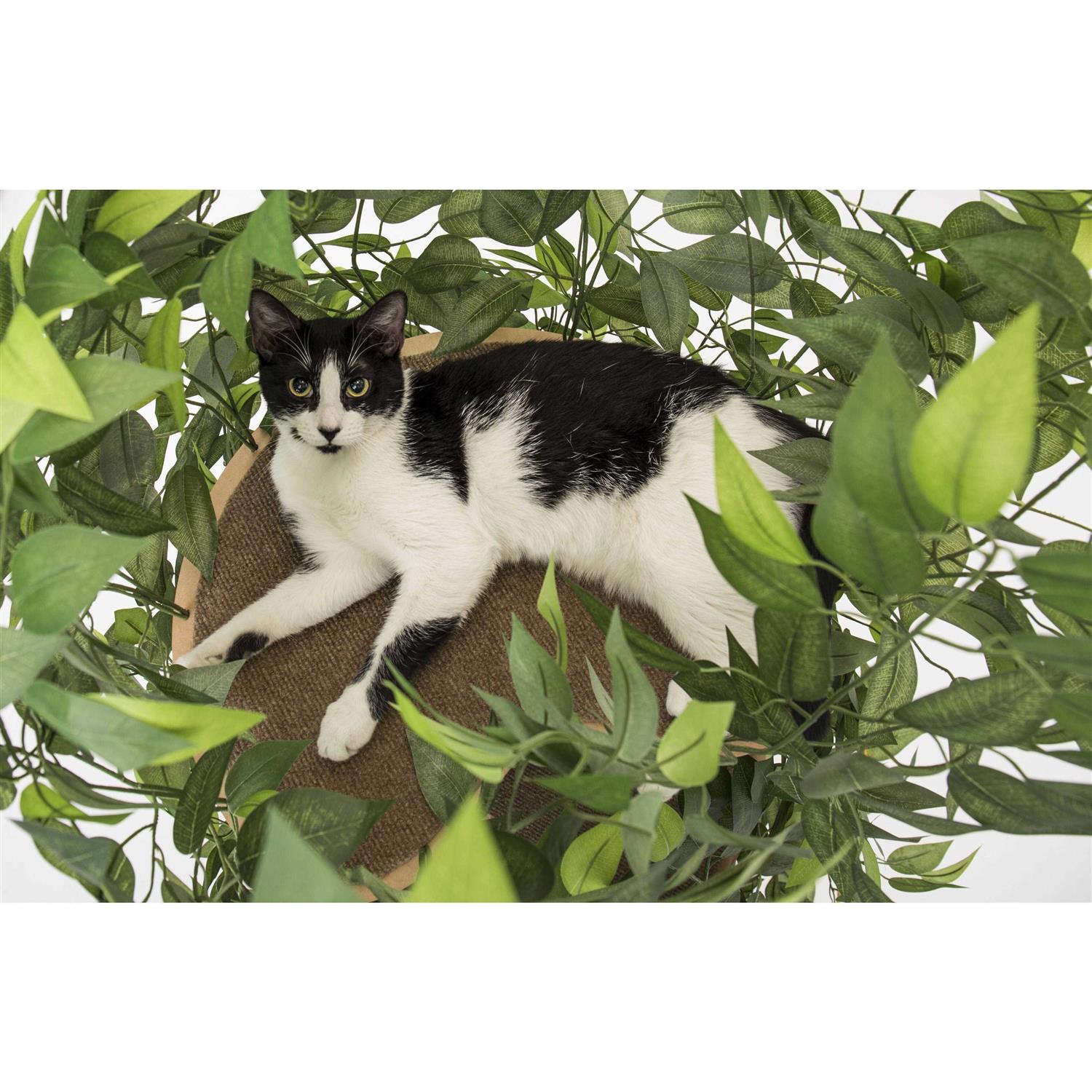 On2Pets Cat Tree with Leaves Cat House & Cat Activity Tree - Healthber