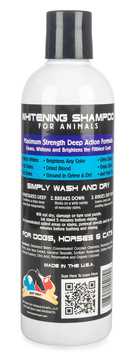 One Shot Whitening Shampoo - Healthber