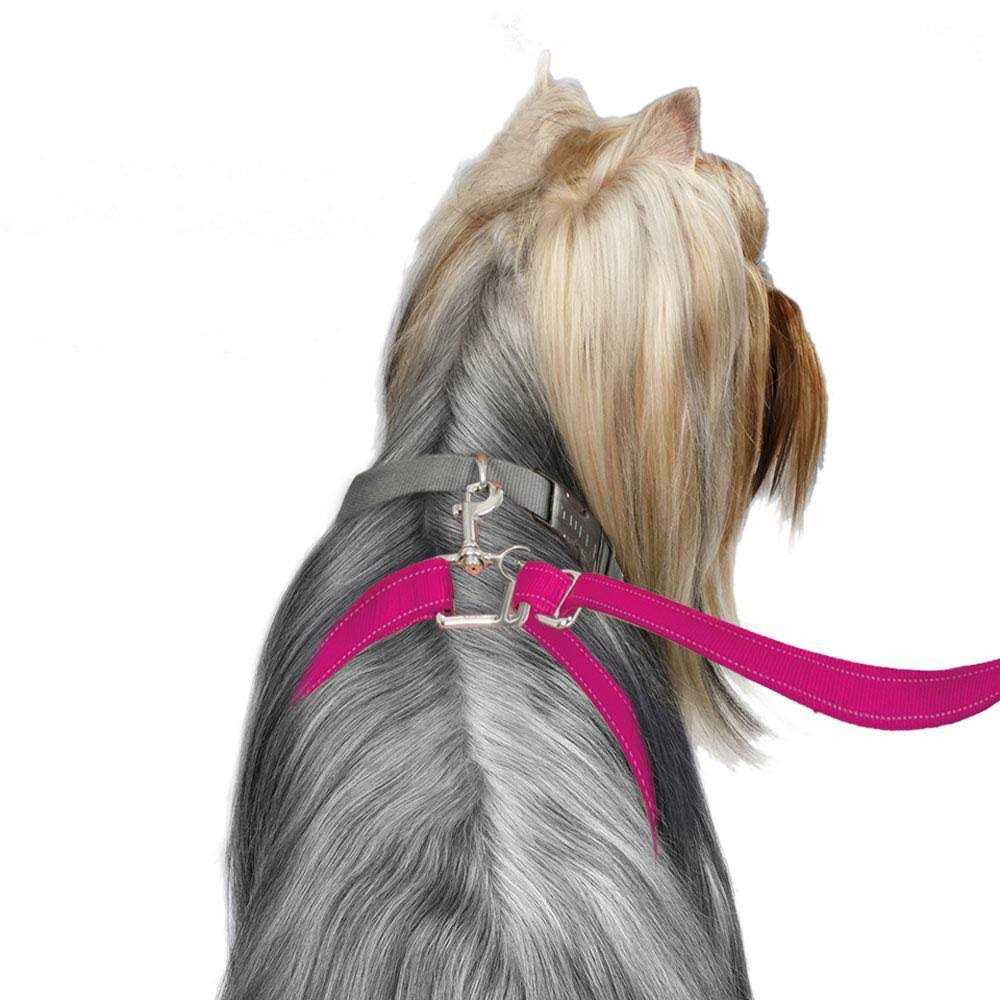 ThunderLeash Dog Leash - Healthber