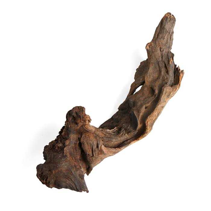 Imagitarium Driftwood - Healthber