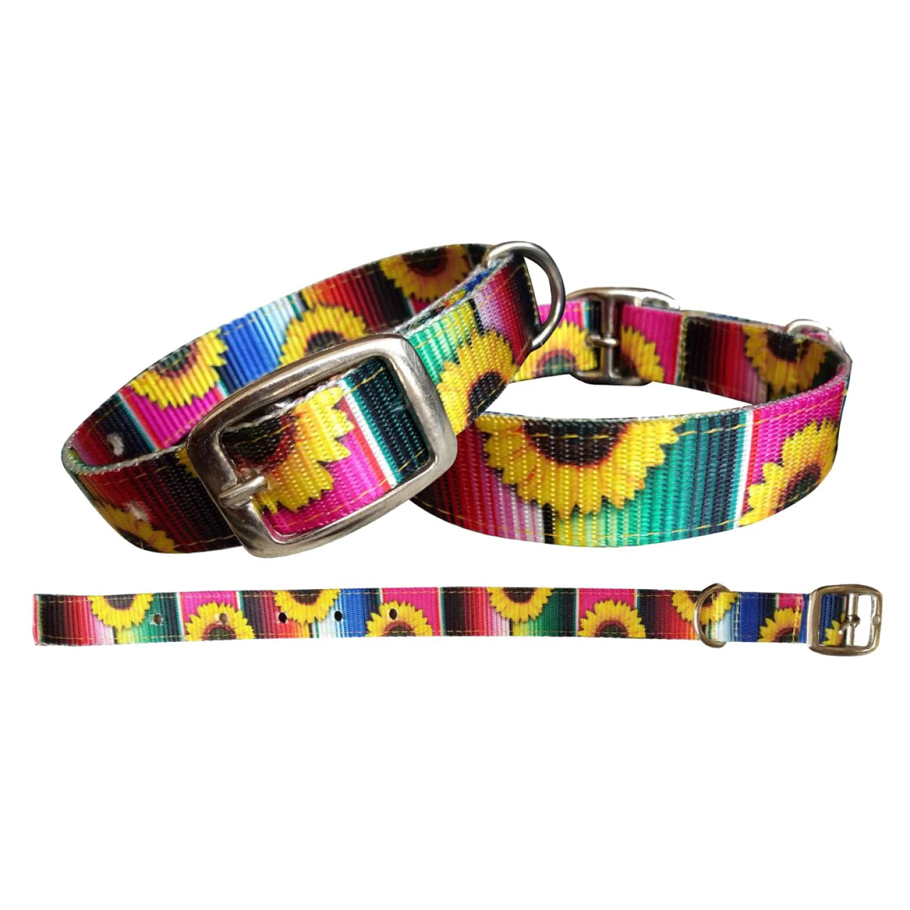 Showman Couture Serape & Sunflower Nylon Dog Collar - Healthber