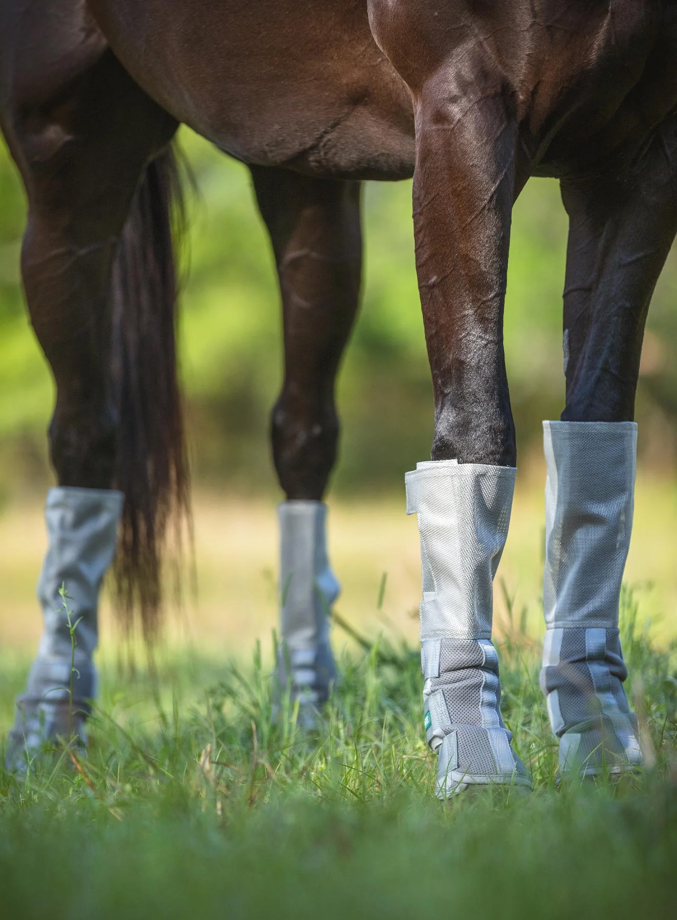 Rambo 4-pk Tech-Fit Horse Fly Boots, Silver - Healthber