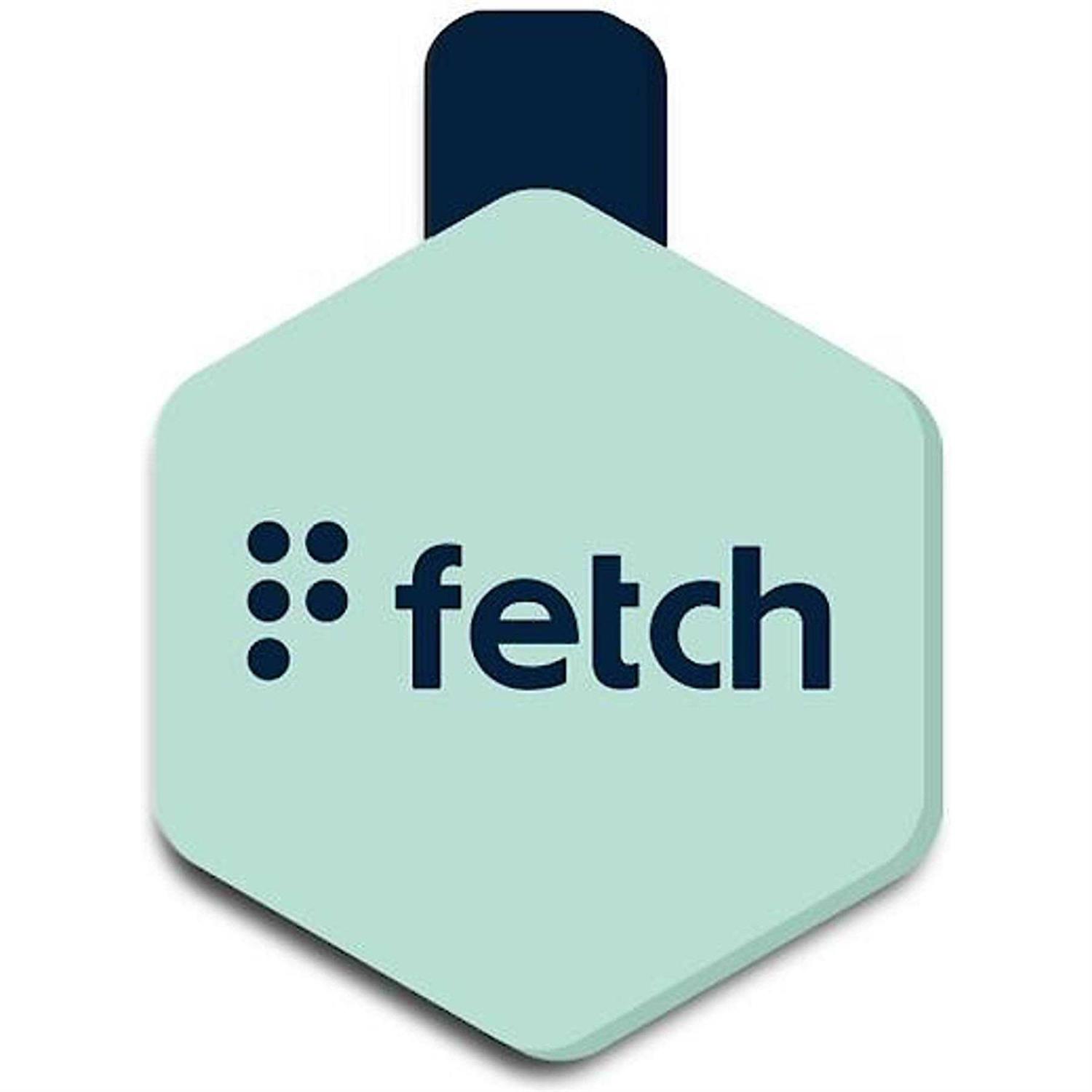 Lifekey Fetch ID Tag - Healthber