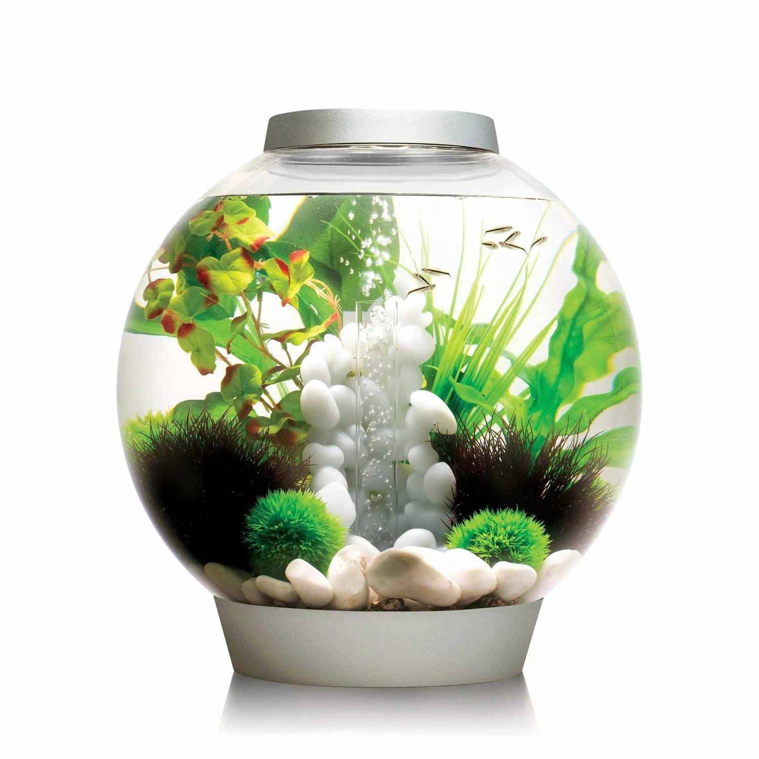biOrb CLASSIC Collection - Healthber