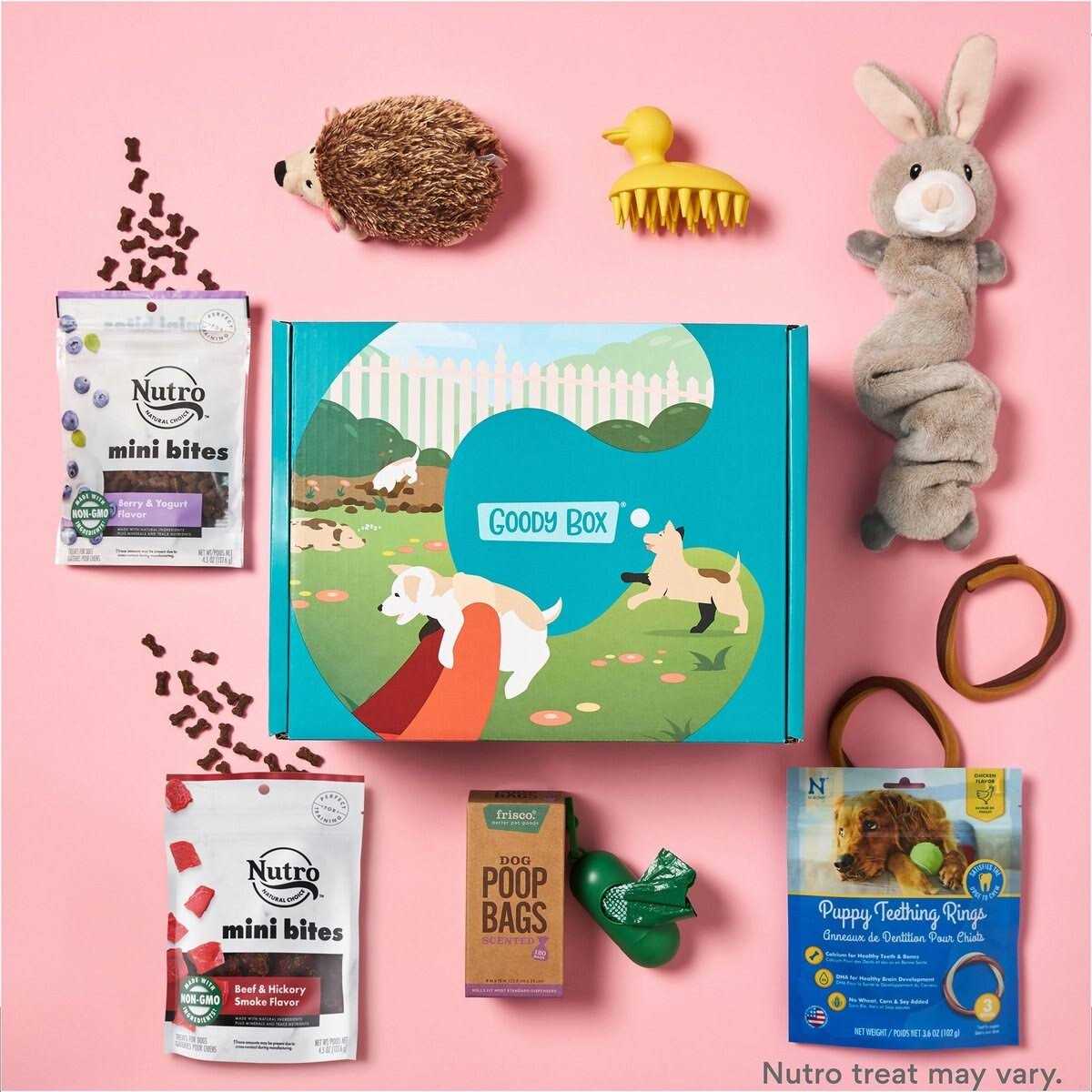 Goody Box Puppy Toys - Healthber