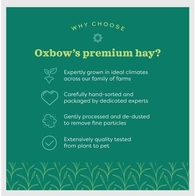 Oxbow Hay Blends Western Timothy & Orchard - Healthber