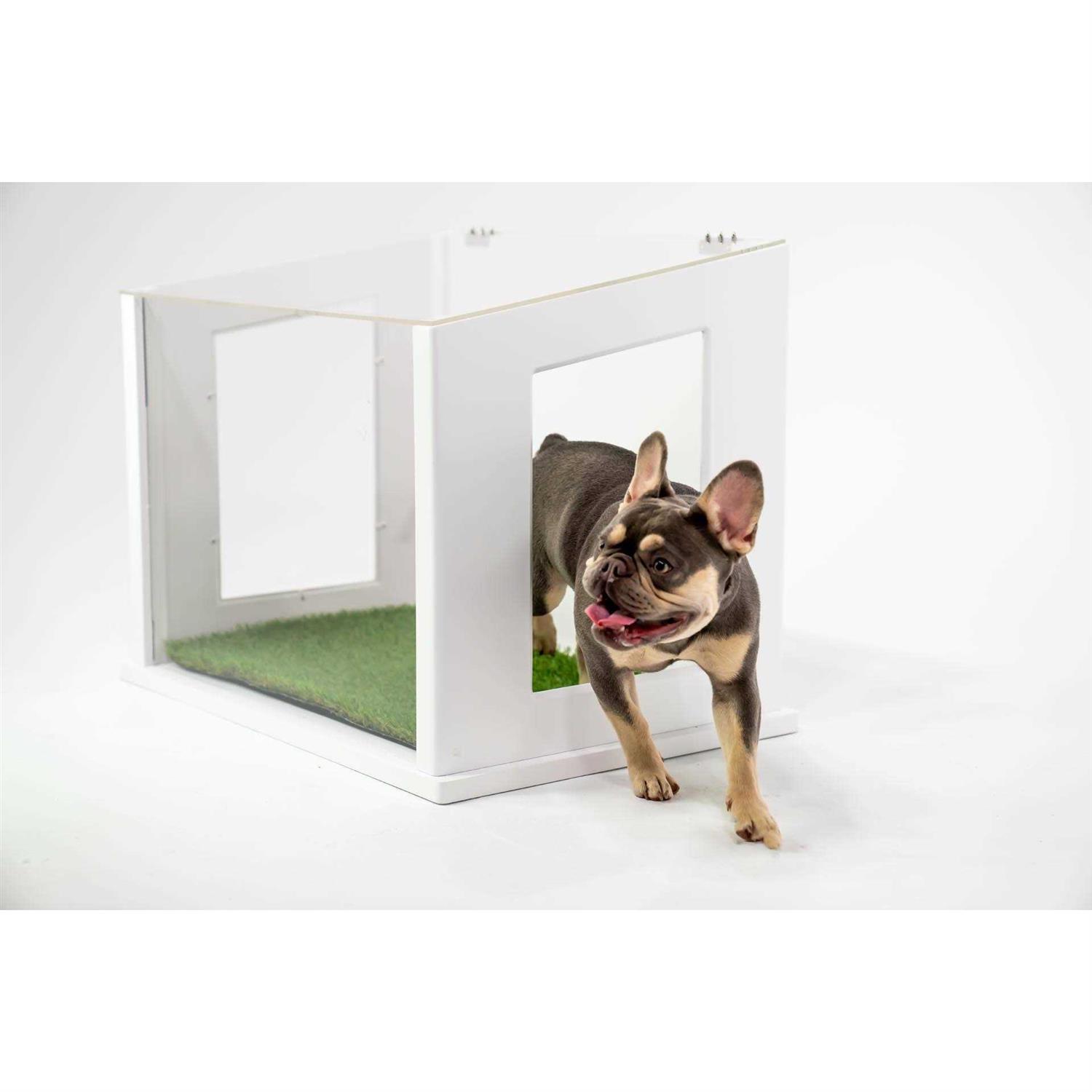 City Loo, Chic Dog or Cat Potty - Healthber