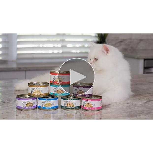 Weruva TruLuxe Steak Frites Beef & Pumpkin Canned Cat Food - Healthber