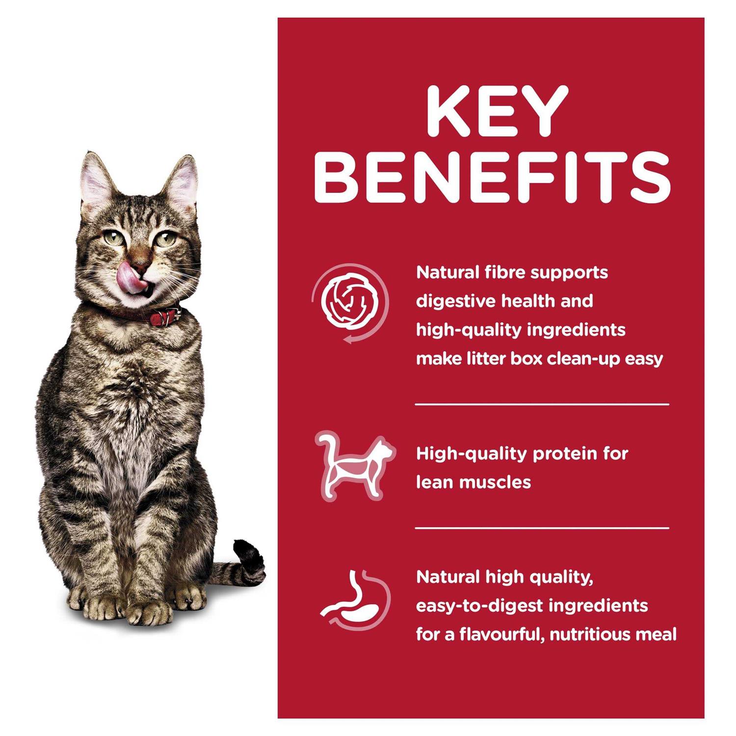 Hill’s Science Diet Adult 7+ Indoor Dry Cat Food - Healthber