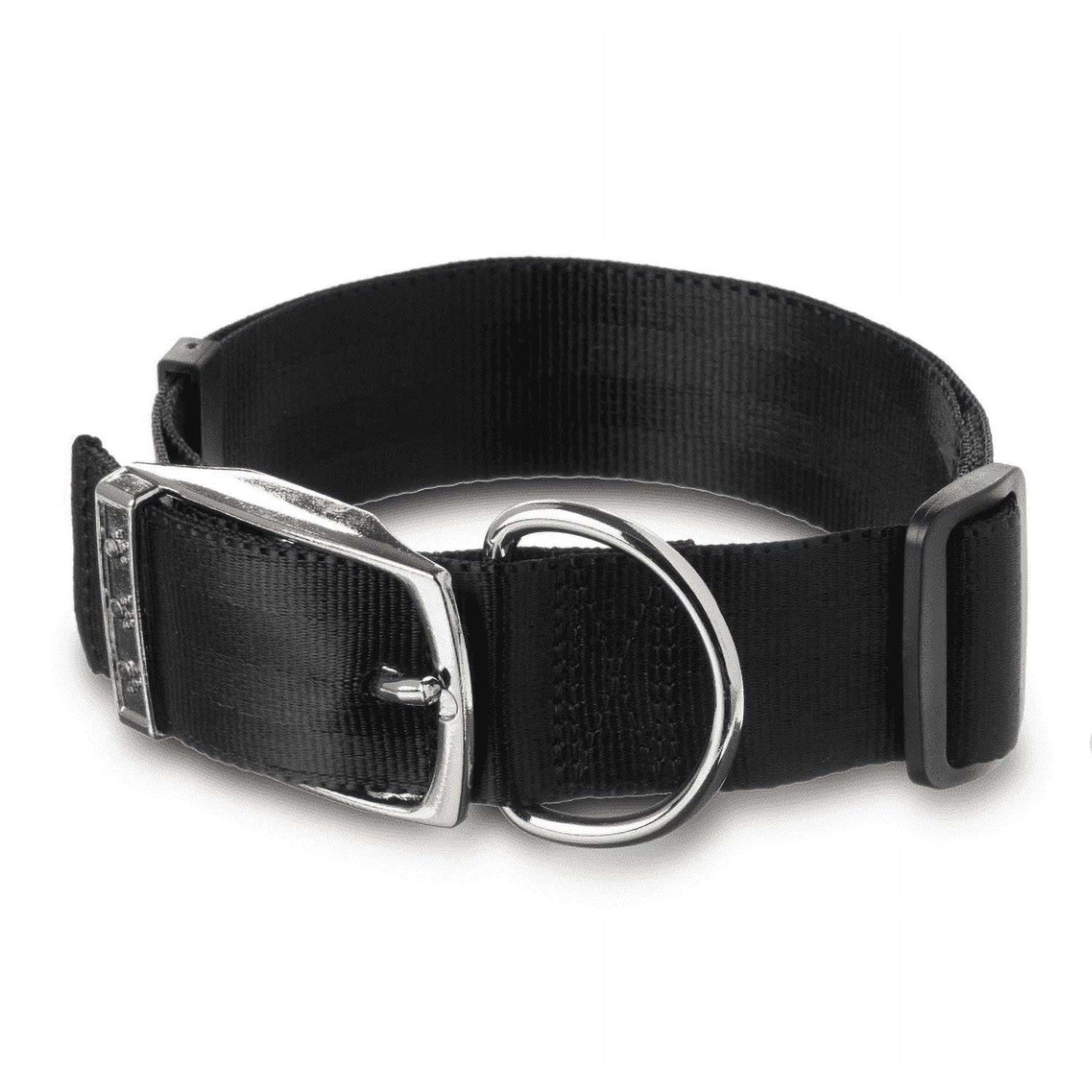 Vibrant Life Solid Dog Collar with Metal Buckle - Healthber