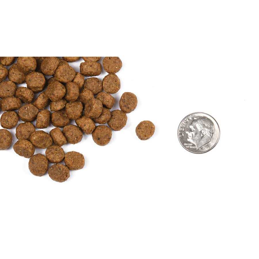 Fromm Classic Puppy Dog Food - Healthber