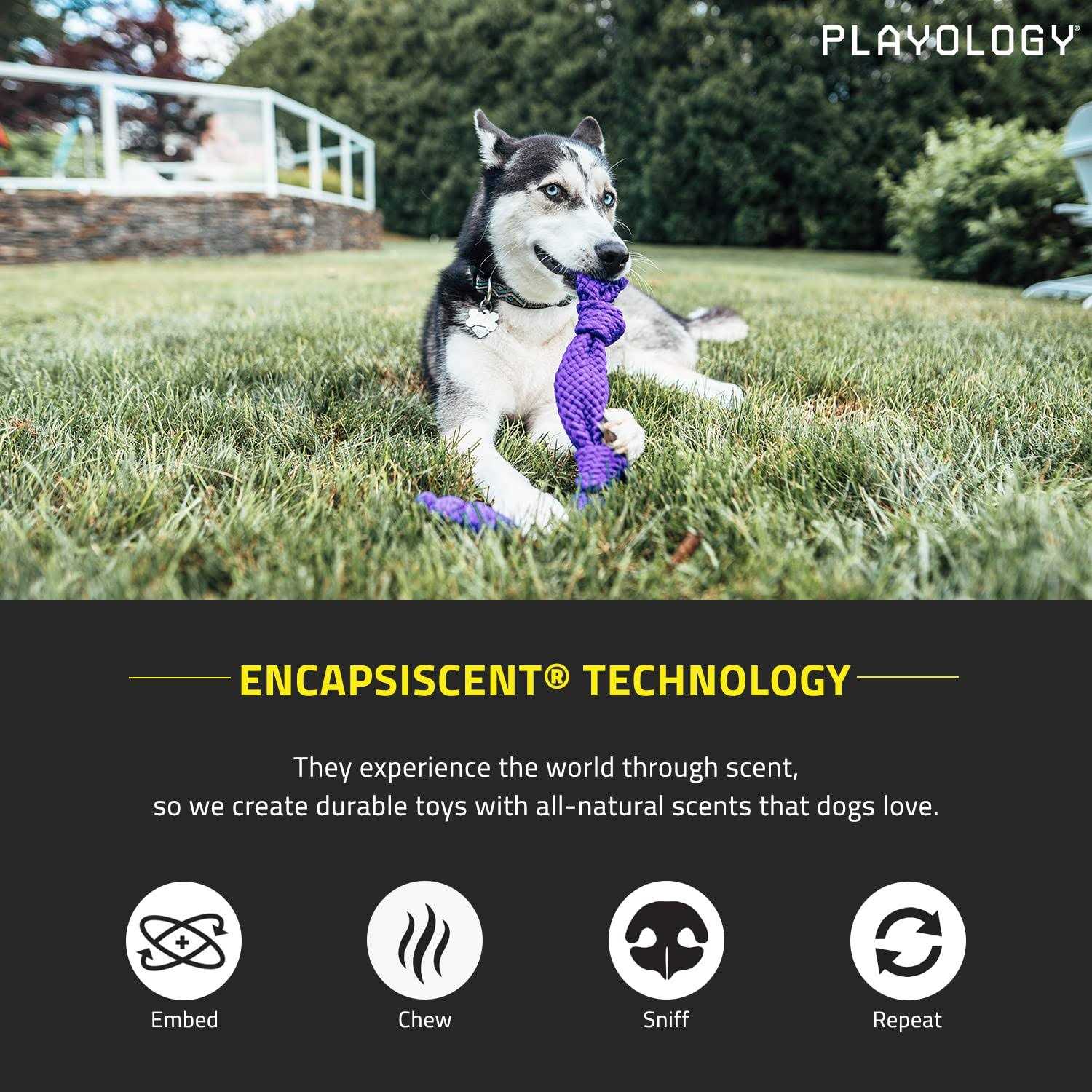 Playology Dri-Tech Dental Rope Peanut Butter Scented Dog Toy - Healthber