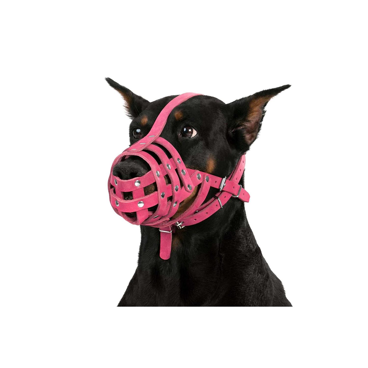 CollarDirect Dog Muzzle German Shepherd Dalmatian Doberman Setter Leather Basket Medium Large Breeds - Healthber
