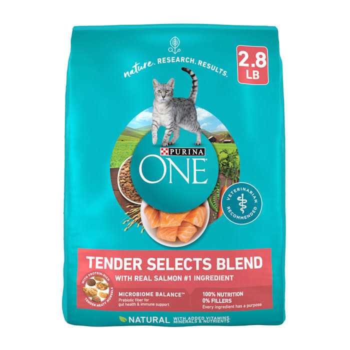 Purina ONE Tender Selects Blend Dry Cat Food With Real Chicken - Healthber