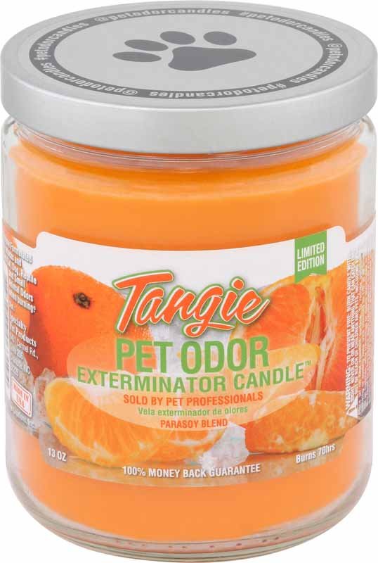 Pet Odor Exterminator Candle, Tangie, 13 oz - Healthber