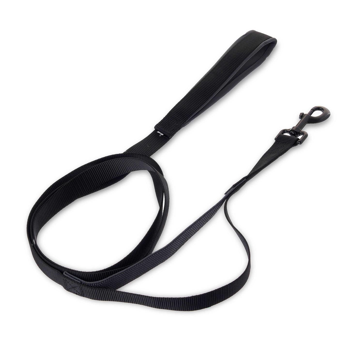 Vibrant Life Anti-Shock Dog Leash - Healthber