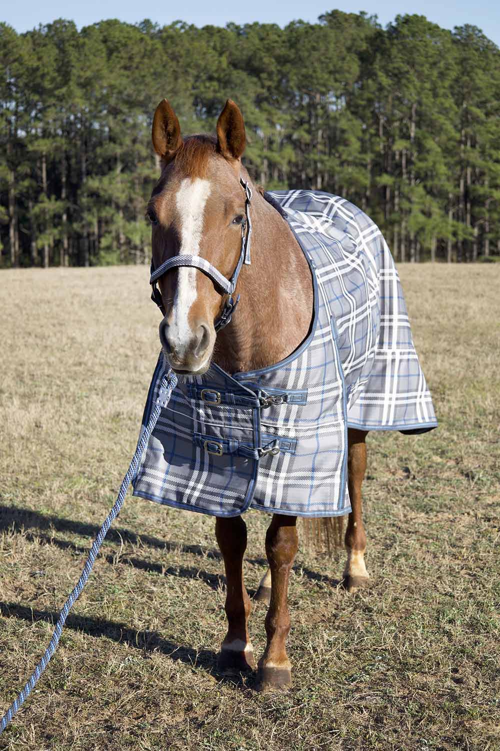 Poplar Head Refuge 1200 Denier Turnout Blanket, 240 Gram, Hamilton Blue & Slate Plaid - Healthber