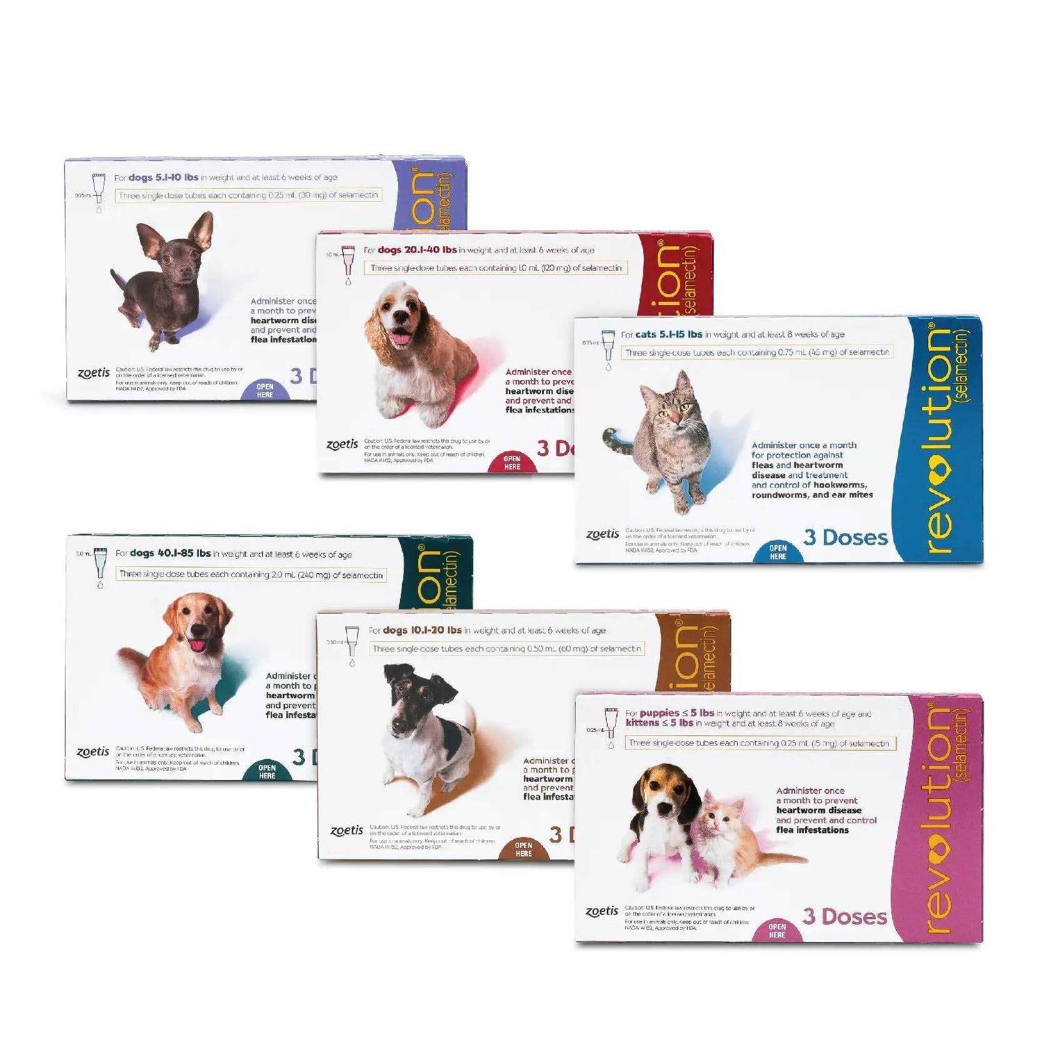 Revolution for Puppies & Kittens - Healthber